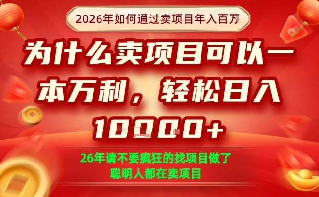 一单净利润1K+，26年想年入100个W，死磕卖项目就够了【揭秘】-点子口袋网