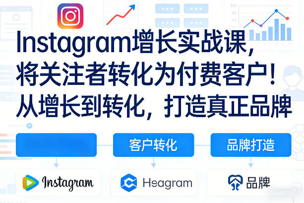 Instagram增长实战课，将关注者转化为付费客户！从增长到转化，打造真正品牌(双语字幕)-点子口袋网