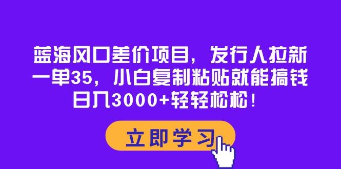 蓝海风口差价项目，发行人拉新，一单35，小白复制粘贴就能搞钱！日入30...-点子口袋网