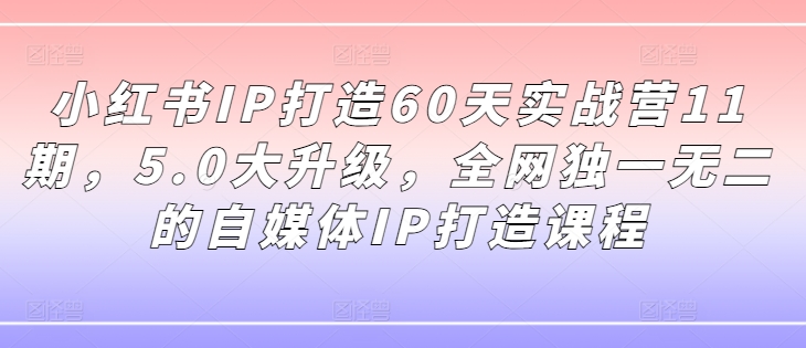 小红书IP打造60天实战营11期，5.0大升级，全网独一无二的自媒体IP打造课程-点子口袋网