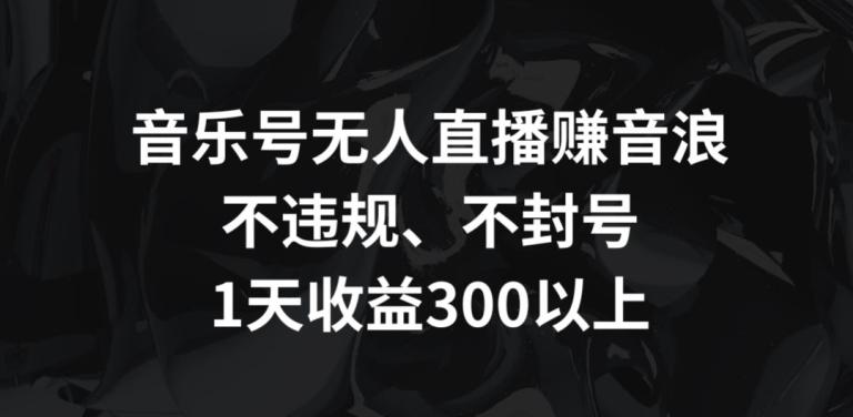 音乐号无人直播赚音浪，不违规、不封号，1天收益300+【揭秘】-点子口袋网
