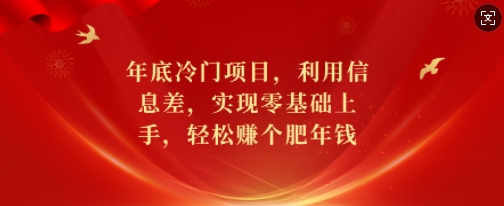 年底冷门项目，利用信息差，实现零基础上手，轻松赚个肥年钱【揭秘】-点子口袋网