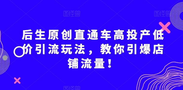 后生原创直通车高投产低价引流玩法，教你引爆店铺流量！-点子口袋网