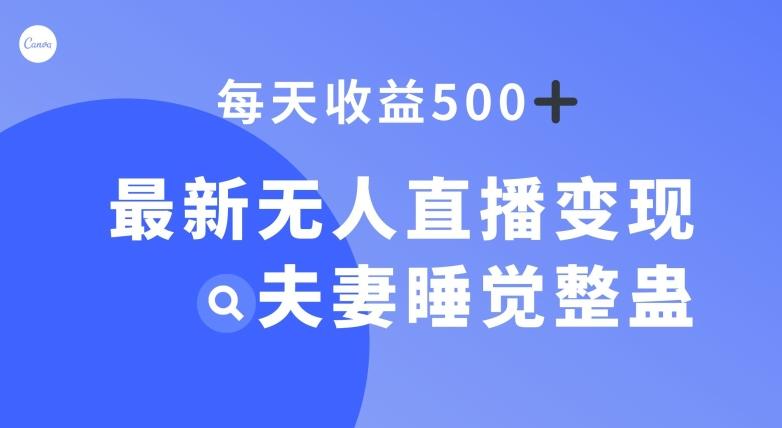 最新无人直播变现，夫妻睡觉整蛊，每天躺赚500+【揭秘】-云创网
