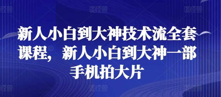 新人小白到大神技术流全套课程，新人小白到大神一部手机拍大片-点子口袋网