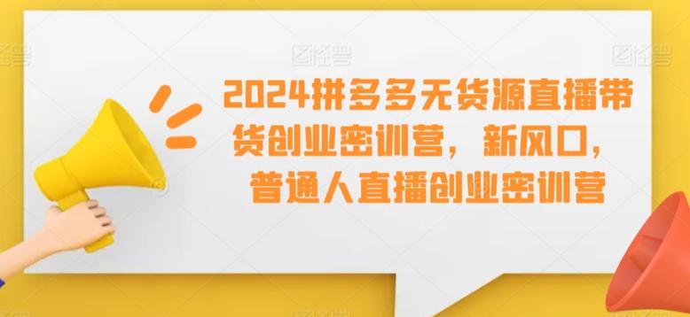 2024拼多多无货源直播带货创业密训营，新风口，普通人直播创业密训营-点子口袋网