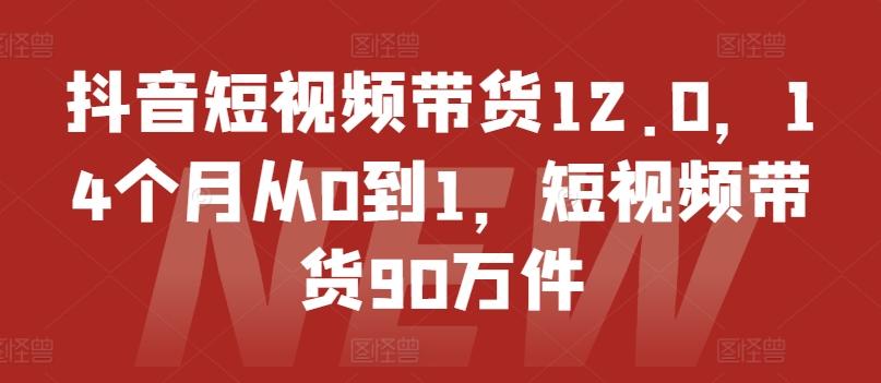 抖音短视频带货12.0，14个月从0到1，短视频带货90万件-点子口袋网