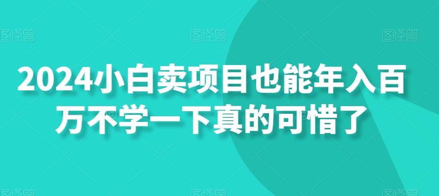 2024小白卖项目也能年入百万不学一下真的可惜了-点子口袋网