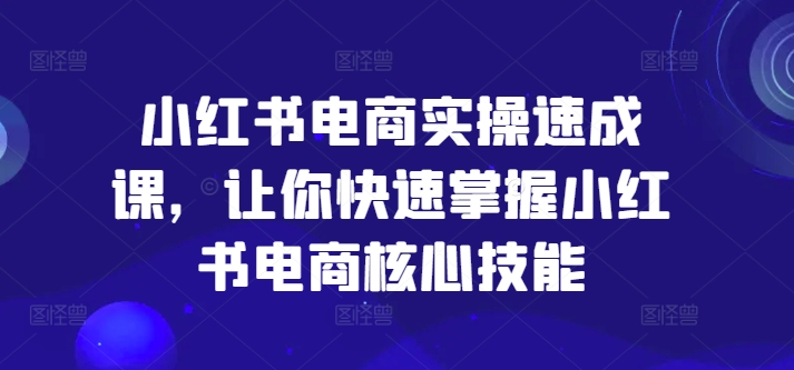 小红书电商实操速成课，让你快速掌握小红书电商核心技能-点子口袋网