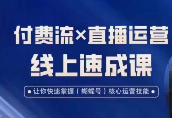 视频号付费流实操课程，付费流✖️直播运营速成课，让你快速掌握视频号核心运营技能-点子口袋网