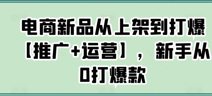 电商新品从上架到打爆【推广+运营】，新手从0打爆款-点子口袋网