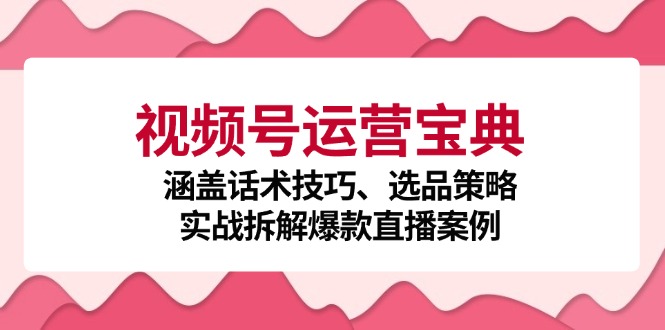 视频号运营宝典：涵盖话术技巧、选品策略、实战拆解爆款直播案例-点子口袋网