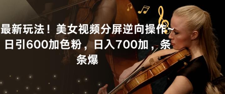 最新玩法！美女视频分屏逆向操作~日引600加色粉，日入700加，条条爆【揭秘】-点子口袋网
