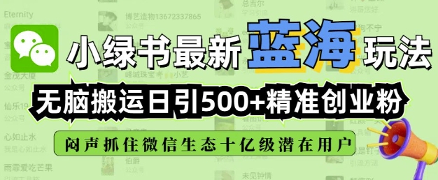 小绿书无脑搬运引流，全自动日引500精准创业粉，微信生态内又一个闷声发财的机会-点子口袋网
