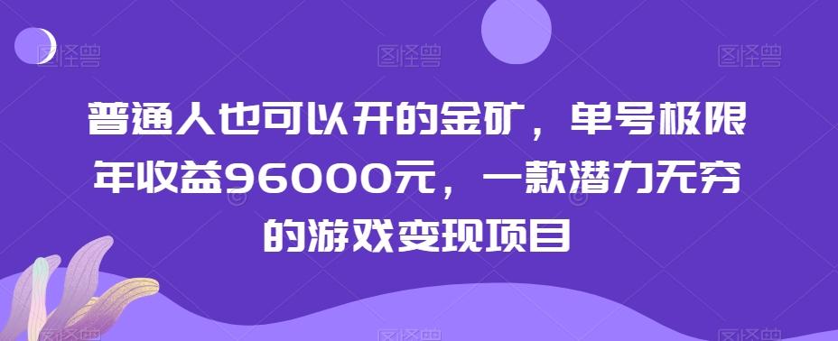 普通人也可以开的金矿，单号极限年收益96000元，一款潜力无穷的游戏变现项目【揭秘】-点子口袋网