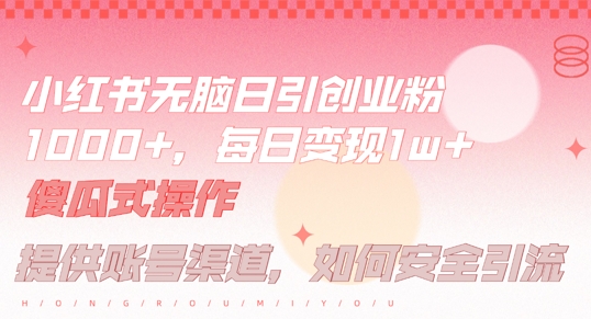 小红书无脑每日引流创业粉500+，小白每天只花半小时，躺赚长尾收益【揭秘】-点子口袋网