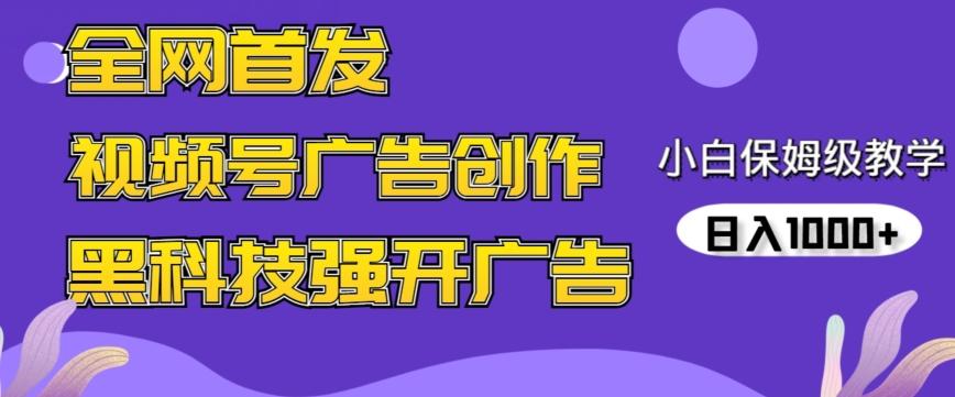 全网首发蝴蝶号广告创作，用AI做视频，黑科技强开广告，小白跟着做，日入1000+【揭秘】-点子口袋网