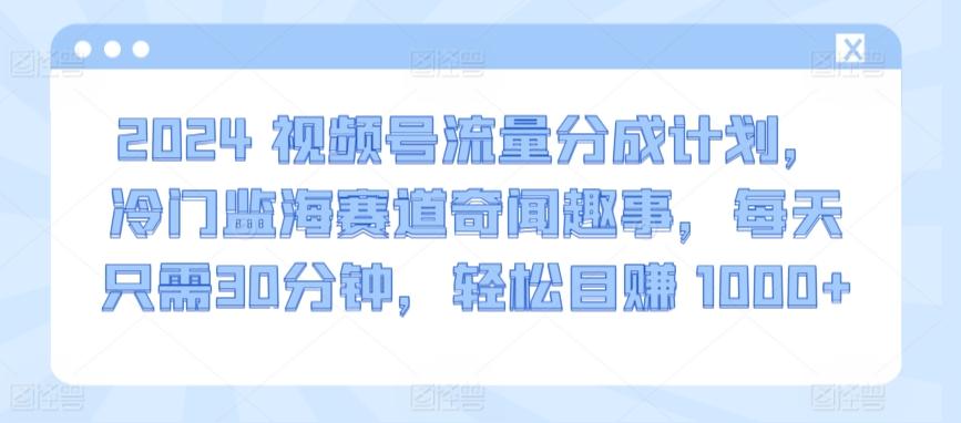 2024视频号流量分成计划，冷门监海赛道奇闻趣事，每天只需30分钟，轻松目赚 1000+【揭秘】-点子口袋网