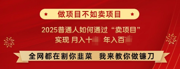 必看，做项目不如卖项目，2025普通人如何通过“卖项目”实现月入十个，年入百个-点子口袋网