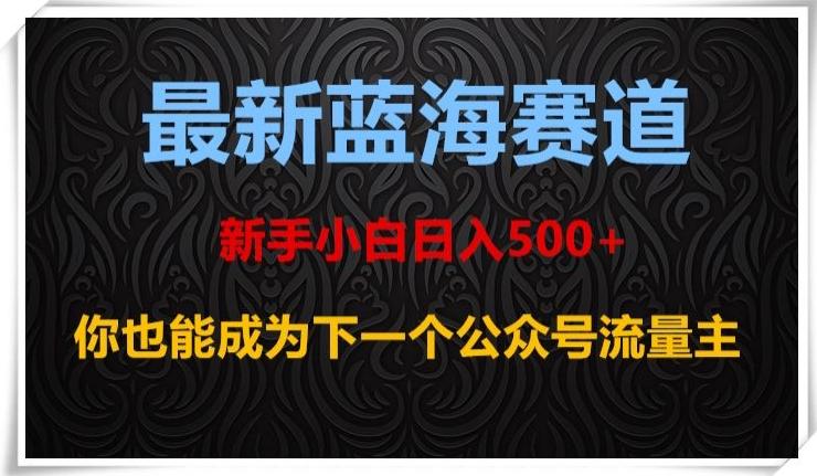 最新蓝海赛道，新手小白日入500+，你也能成为下一个公众号流量主【揭秘】-点子口袋网