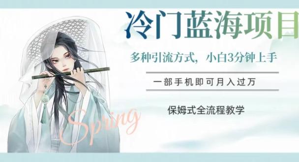 冷门蓝海项目，操作简单，小白3分钟上手，多种引流方式，保姆式全流程教学【揭秘】-点子口袋网
