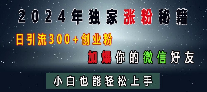 2024年独家涨粉秘籍，日引流300+创业粉，加爆你的微信好友，小白也能轻松上手-点子口袋网