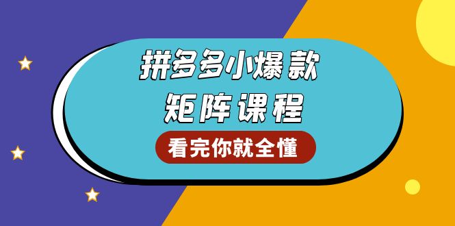 拼多多爆款矩阵课程：教你测出店铺爆款，优化销量，提升GMV，打造爆款群-点子口袋网