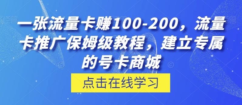 一张流量卡赚100-200，流量卡推广保姆级教程，建立专属的号卡商城-点子口袋网