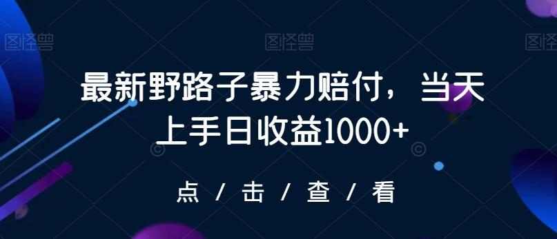 最新野路子暴力赔付，当天上手日收益1000+【仅揭秘】-点子口袋网