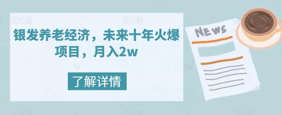 银发养老经济，未来十年火爆项目，月入2w【揭秘】-点子口袋网