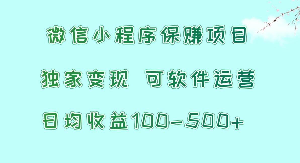 微信小程序保赚项目，日均收益100~500+，独家变现，可软件运营-点子口袋网