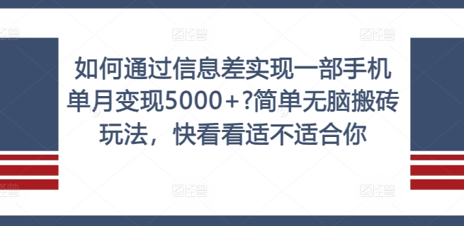 如何通过信息差实现一部手机单月变现5000+?简单无脑搬砖玩法，快看看适不适合你【揭秘】-点子口袋网