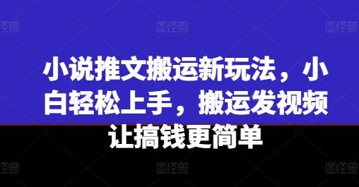 小说推文搬运新玩法，小白轻松上手，搬运发视频让搞钱更简单-点子口袋网