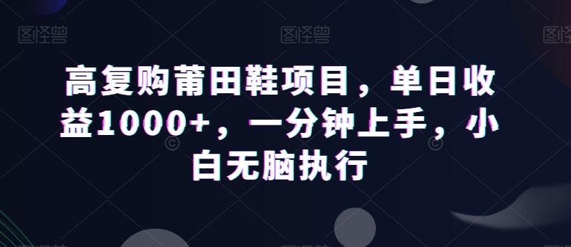 高复购莆田鞋项目，单日收益1000+，一分钟上手，小白无脑执行-点子口袋网