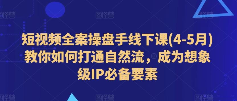 短视频全案操盘手线下课(4-5月)教你如何打通自然流，成为想象级IP必备要素-点子口袋网