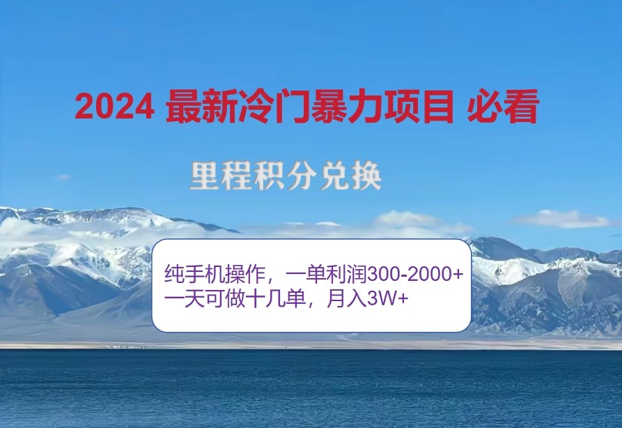 2024惊爆冷门暴利，里程积分最新玩法，高爆发期，一单300+—2000+-点子口袋网