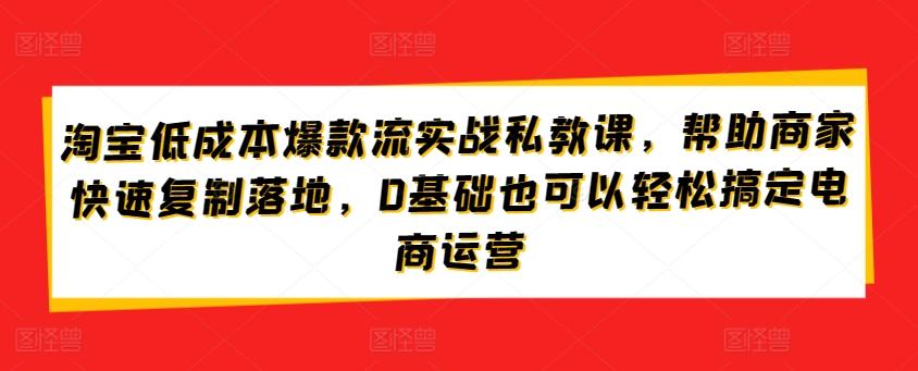 淘宝低成本爆款流实战私教课，帮助商家快速复制落地，0基础也可以轻松搞定电商运营-点子口袋网