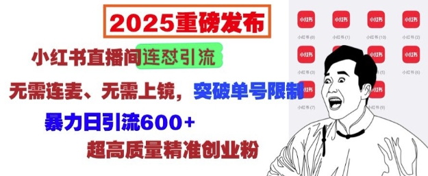 2025重磅发布：小红书直播间连怼引流，无需连麦、无需上镜，突破单号限制，暴力日引流600+-云创网