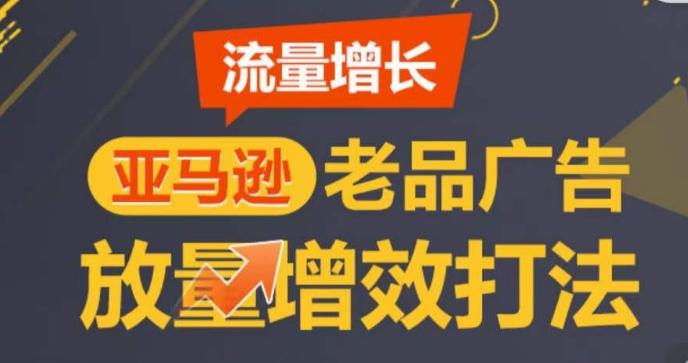 亚马逊流量增长-老品广告放量增效打法，循序渐进，打造更多TOP listing​-点子口袋网