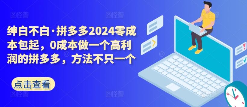 拼多多2024零成本包起，0成本做一个高利润的拼多多，方法不只一个-点子口袋网