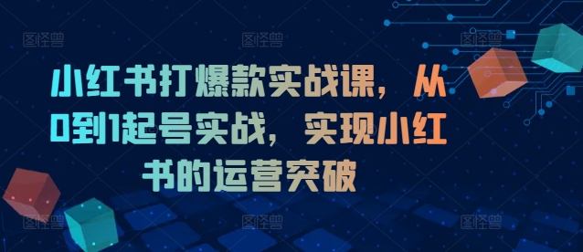 小红书打爆款实战课，从0到1起号实战，实现小红书的运营突破-点子口袋网