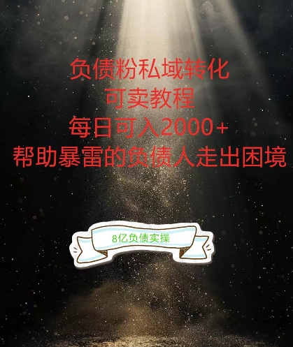 负债粉掘金计划，帮助负债者解决问题，债务规划，债务重组，最好的变现方式【揭秘】-点子口袋网