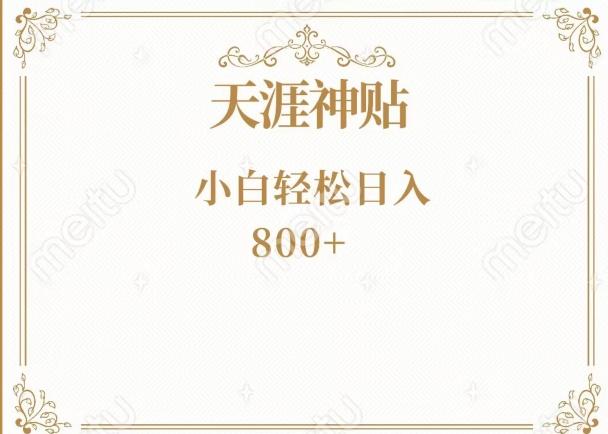 神级项目！天涯神贴再现江湖！小白轻松入手，三个月变现10w+-点子口袋网