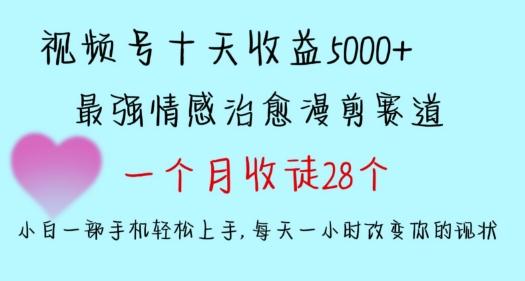十天收益5000+，多平台捞金，视频号情感治愈漫剪，一个月收徒28个，小白一部手机轻松上手【揭秘】-云创网