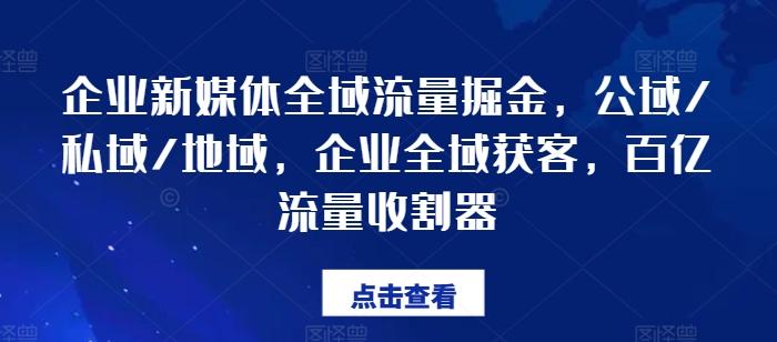 企业新媒体全域流量掘金，公域/私域/地域，企业全域获客，百亿流量收割器-点子口袋网