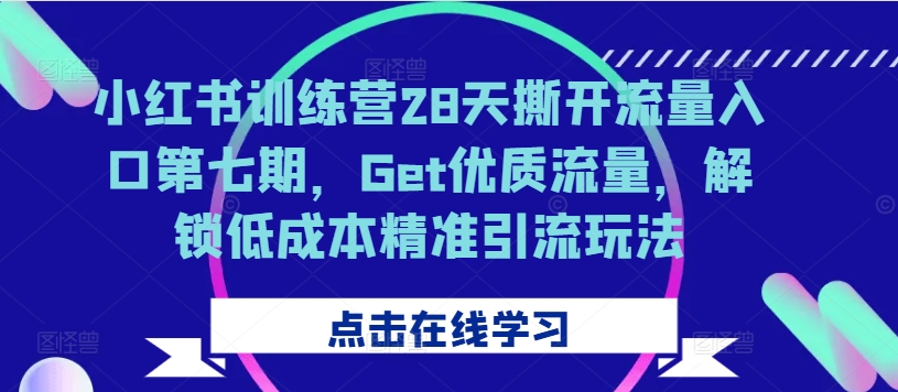 小红书训练营28天撕开流量入口第七期，Get优质流量，解锁低成本精准引流玩法-点子口袋网