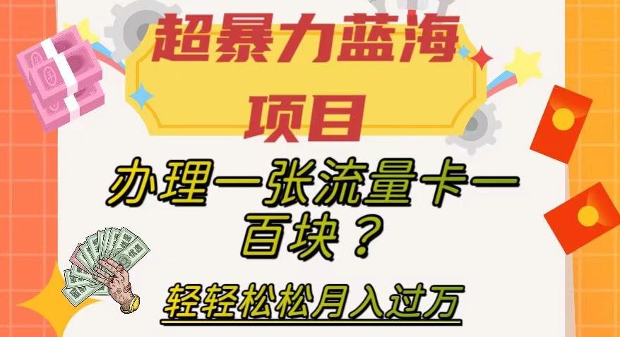 超暴力蓝海项目，办理一张流量卡一百块？轻轻松松月入过万，保姆级教程【揭秘】-点子口袋网
