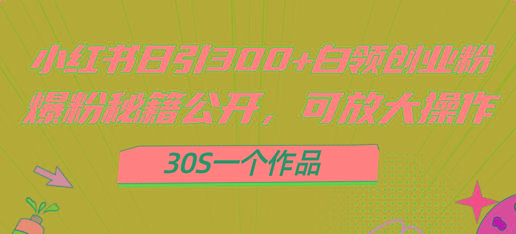 小红书日引300+高质白领创业粉，可放大操作，爆粉秘籍！30s一个作品-点子口袋网