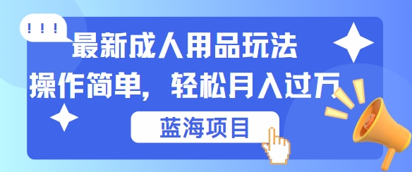最新成人用品项目玩法，操作简单，动动手，轻松日入几张【揭秘】-点子口袋网