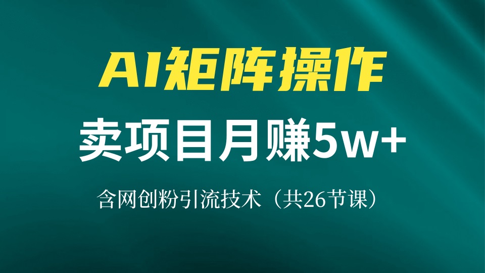 网创IP打造课，借助AI卖项目月赚5万+，含引流技术(共26节课-点子口袋网